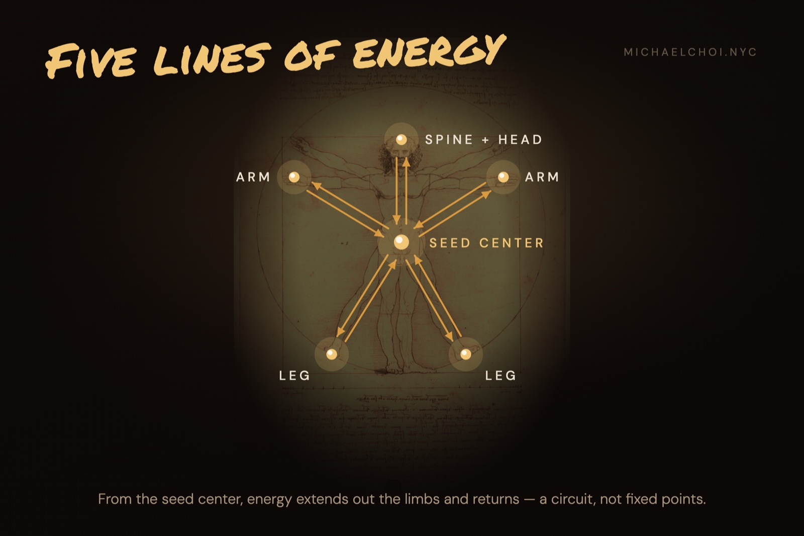 The same five lines mapped onto Da Vinci's Vitruvian Man — energy extending from the seed center out to the arms, legs, and spine, and returning